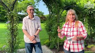 Pflanzplan Hochzeitsgarten