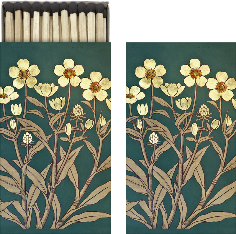 Streichhölzer Butterblume