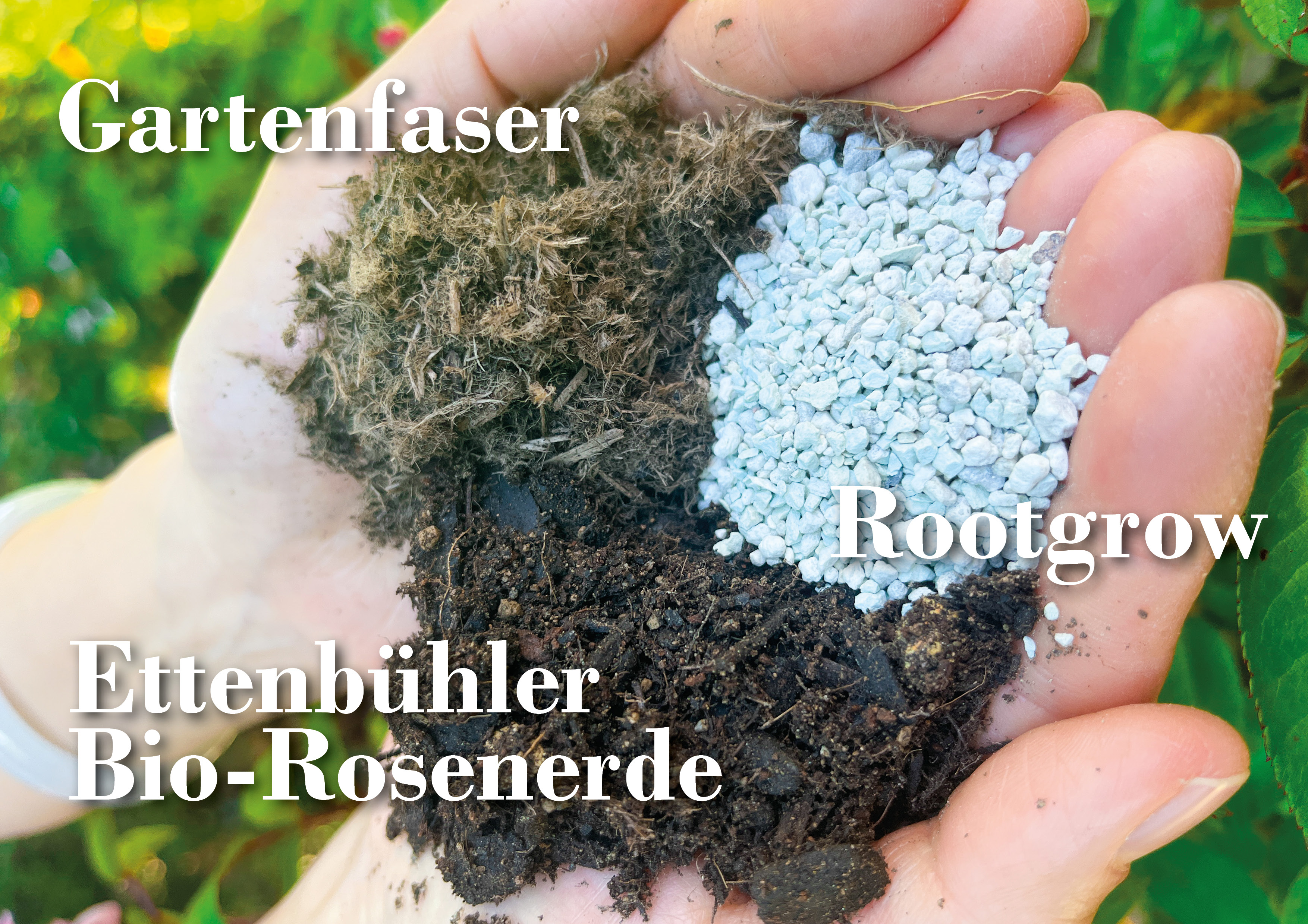 Großes Pflanzpaket