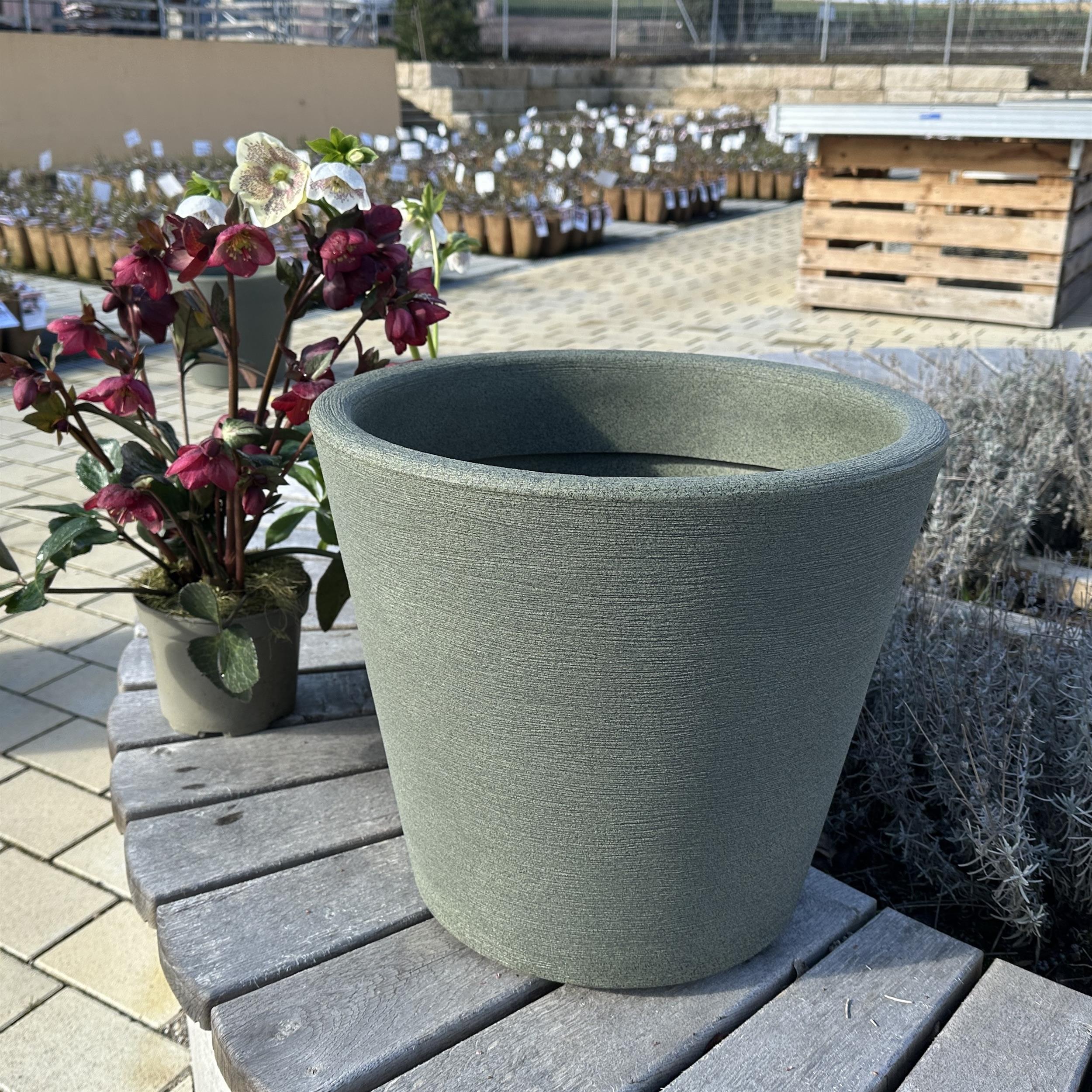 Pflanztopf CAMPANULA 45 jungle green