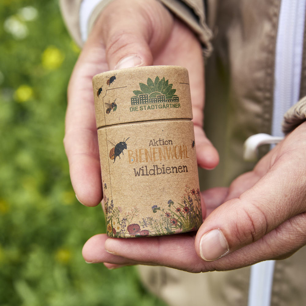 30 m² Wildbienenwiese – Saatgut-Mix