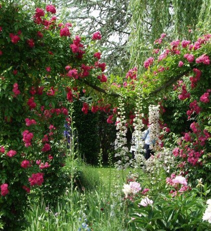 Brewood Belle