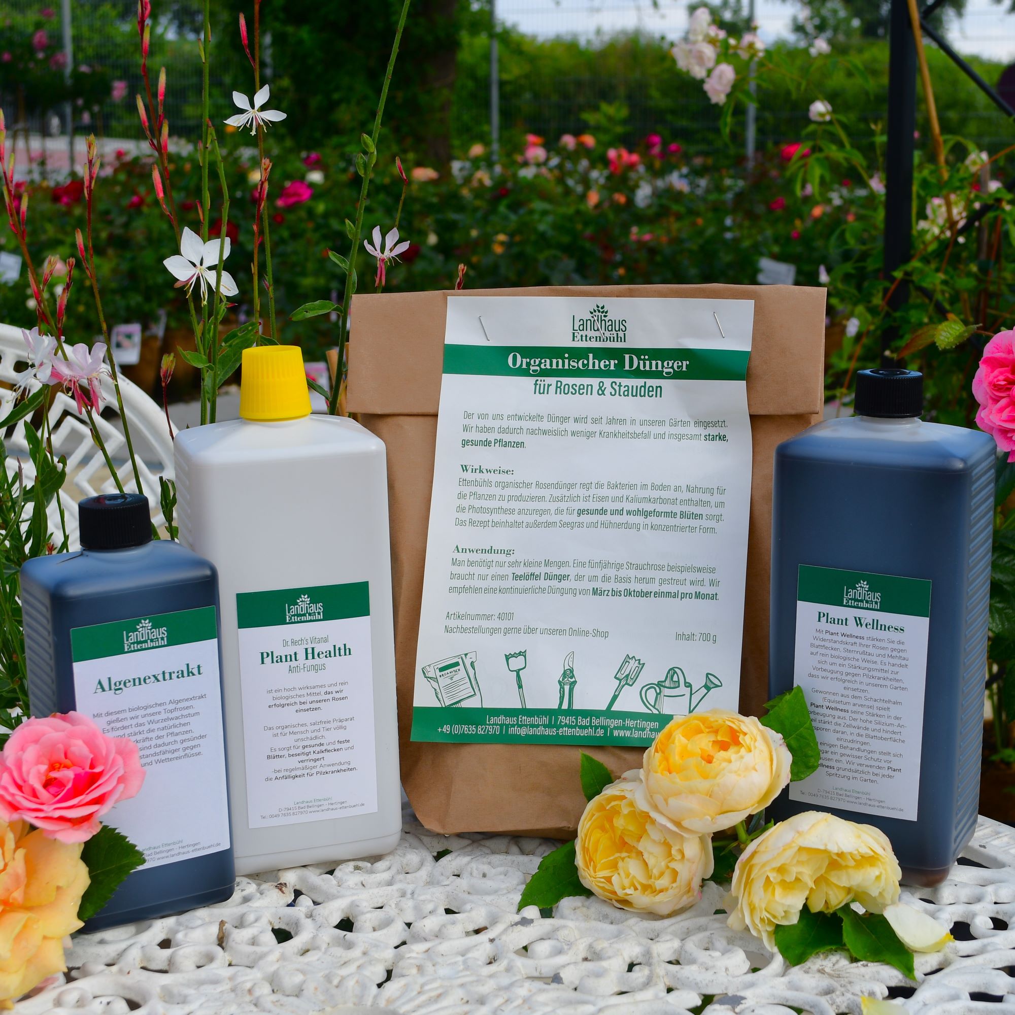 Pflegepaket Ettenbühl