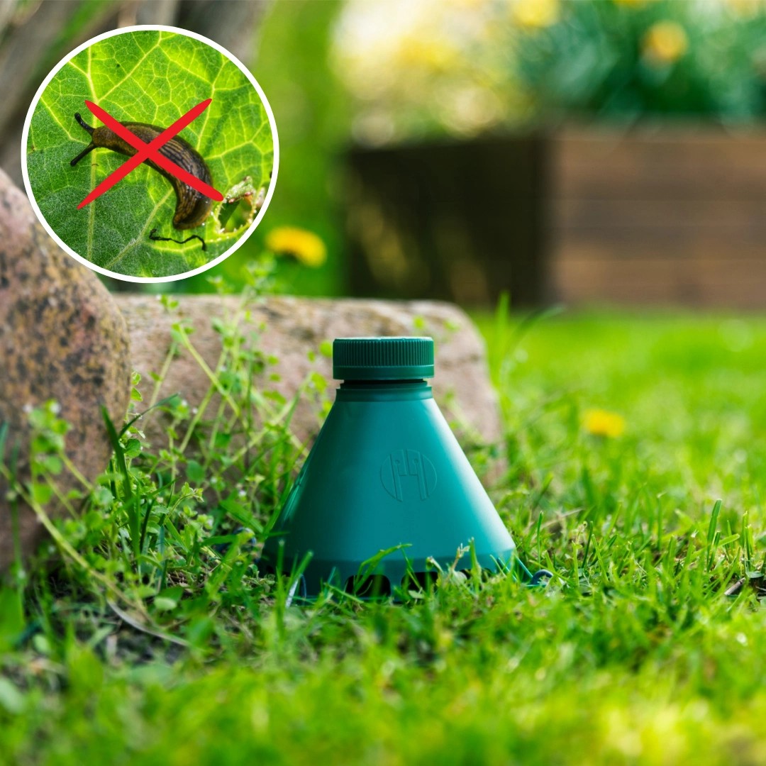 Schneckenfalle: Paket mit 2 Fallen