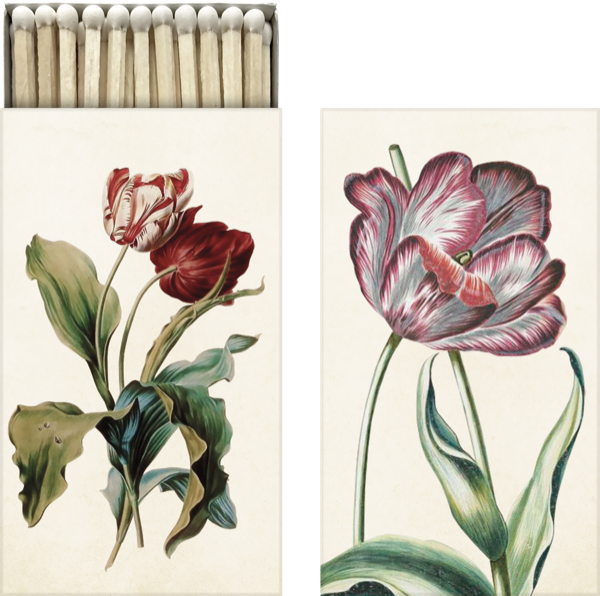Streichhölzer Tulpen