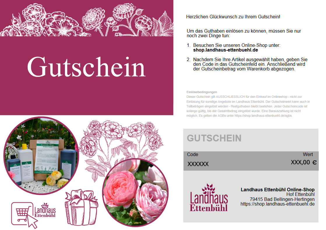 Gutschein 100 Euro