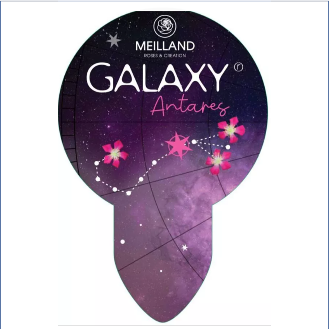 Antares Galaxy 2L