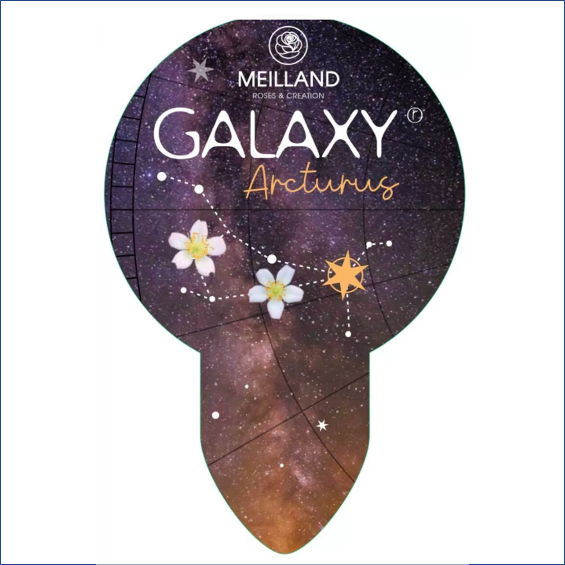 Arcturus Galaxy 2L