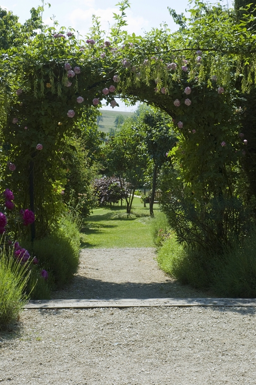 Variegata di Bologna