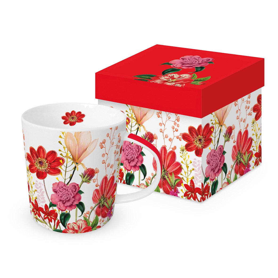 Floria Jumbotasse