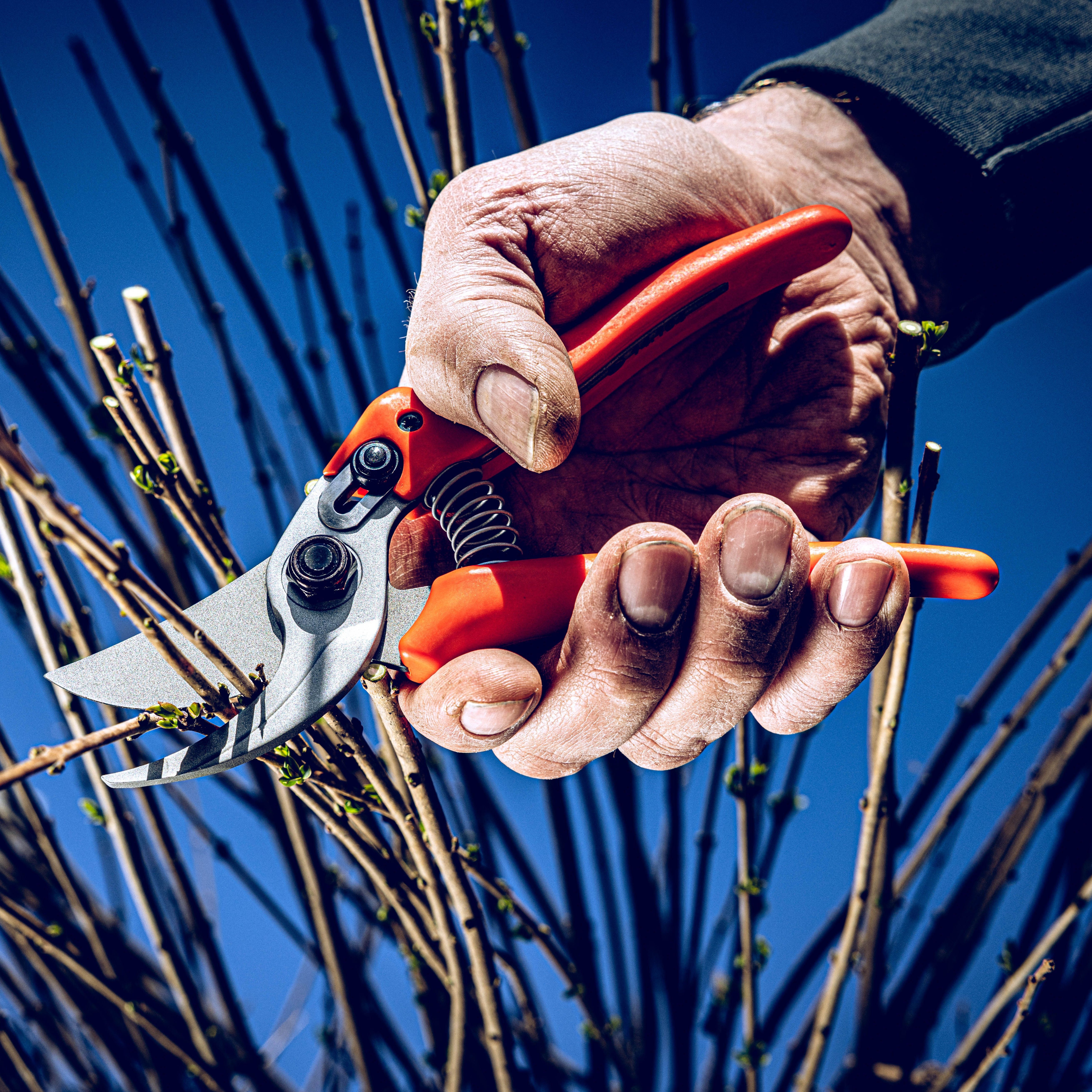 Original LÖWE 14 Standardgriff