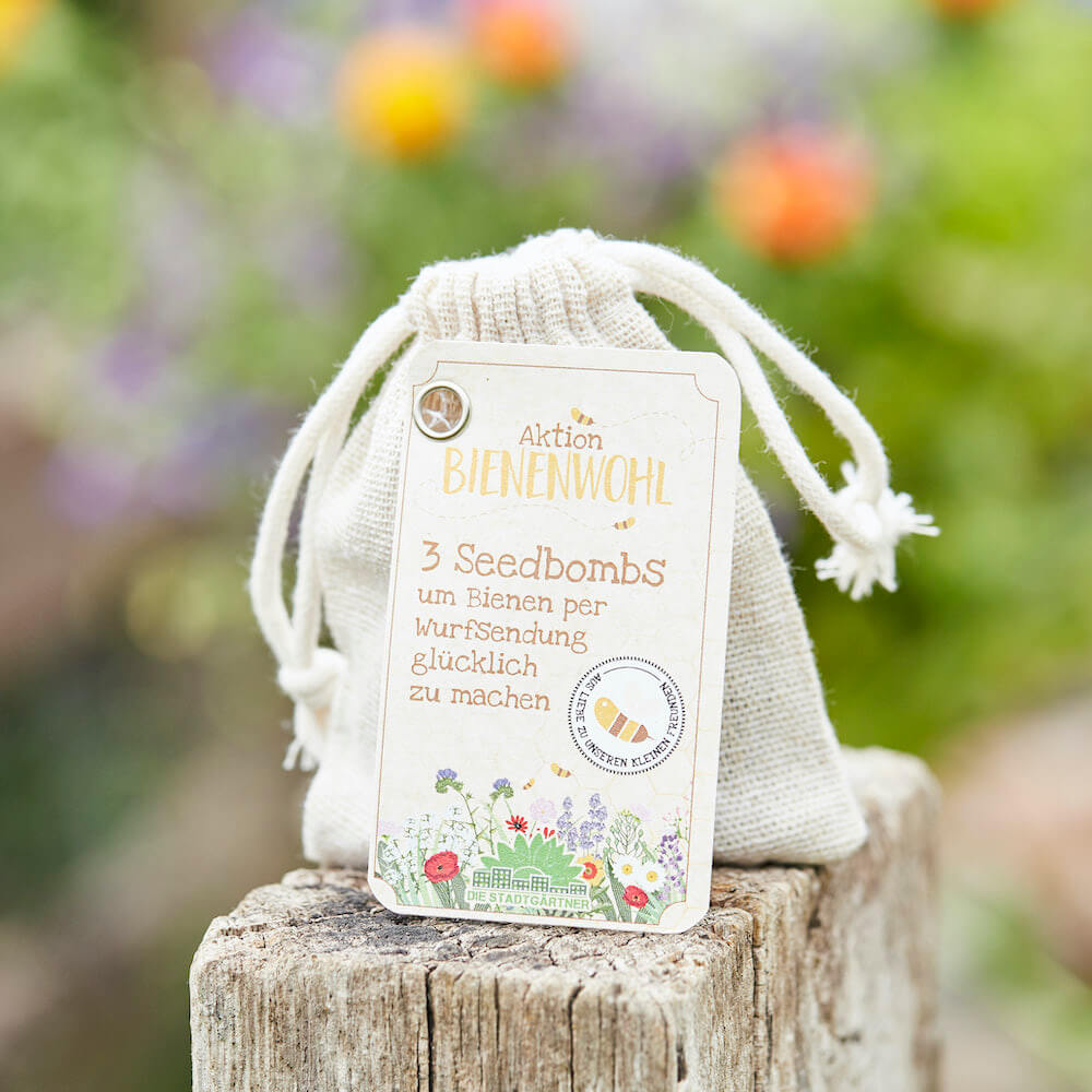 Saatguttütchen Wildblumen "Bienenwohl"