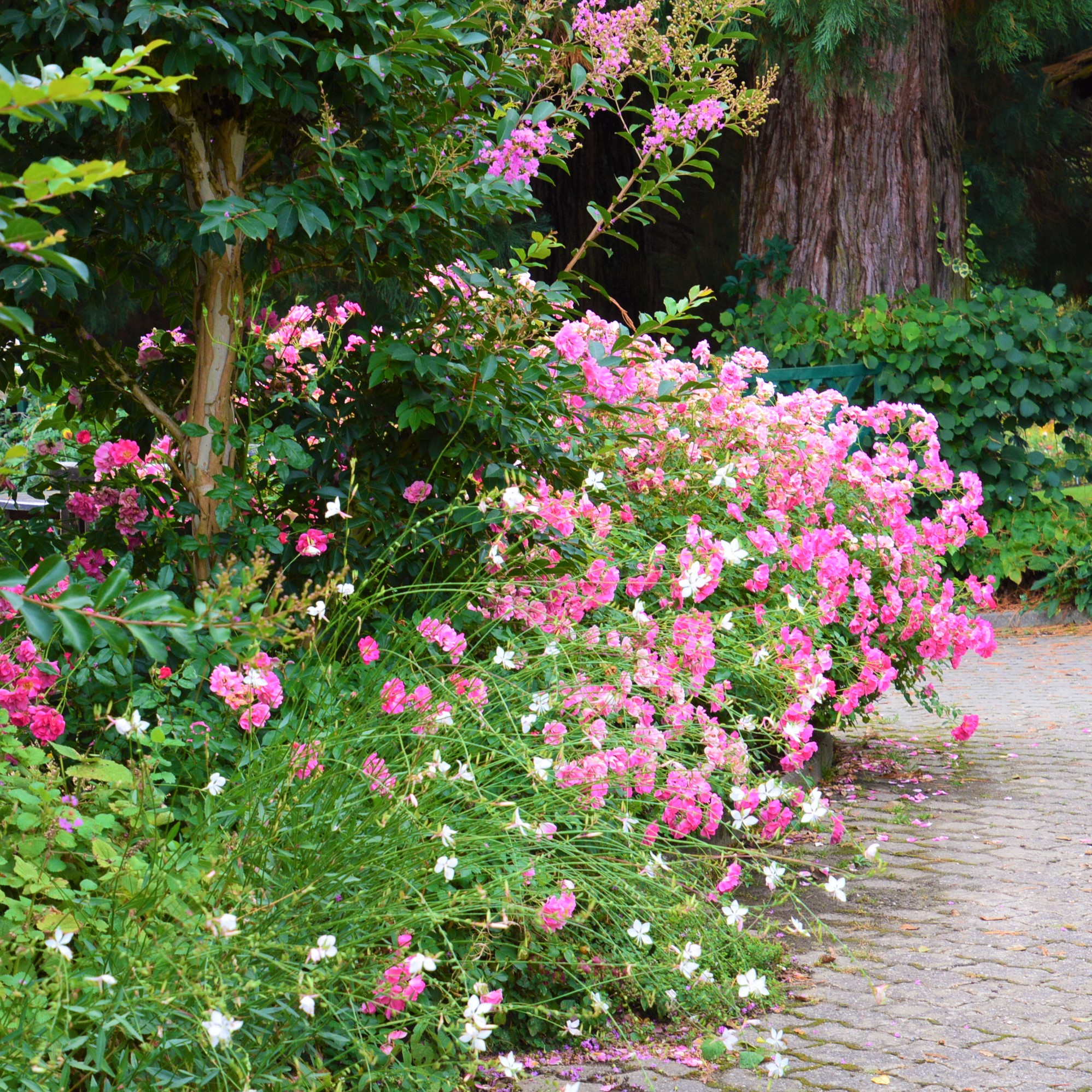 Bad Wörishofen 2005 / Pink Emely