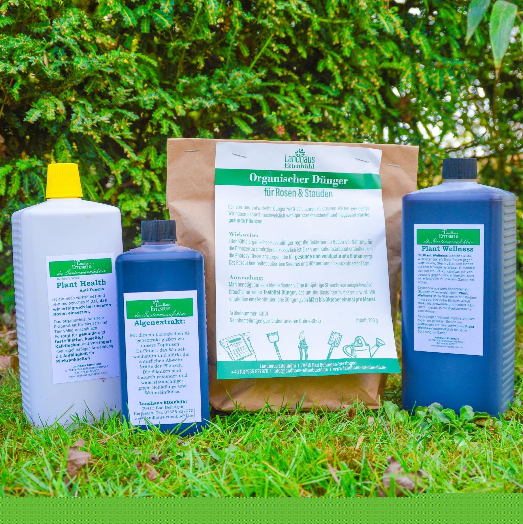 Pflegepaket Ettenbühl