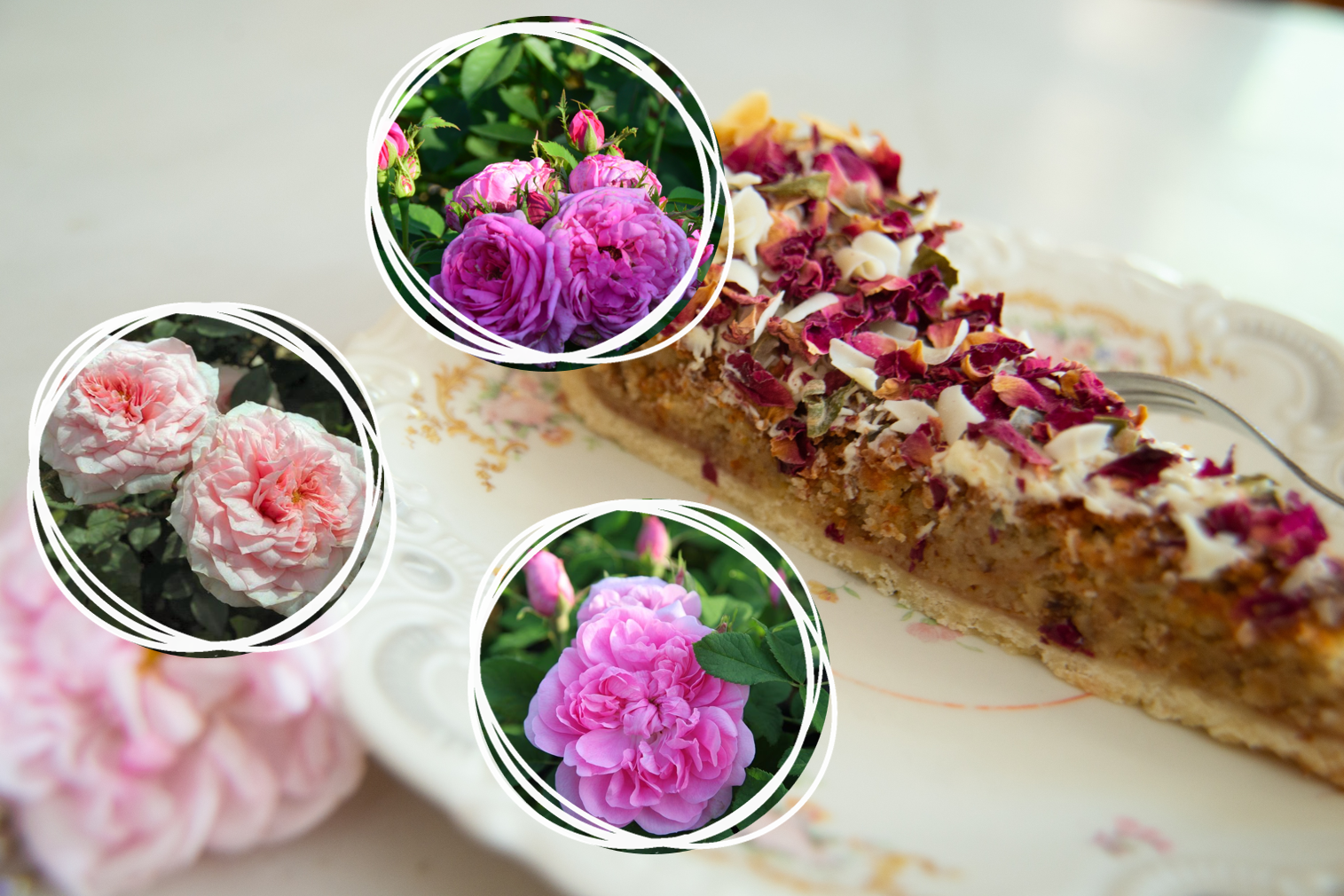 3er Rosen-Set WN: Duft und Blütenzauber für Genießer