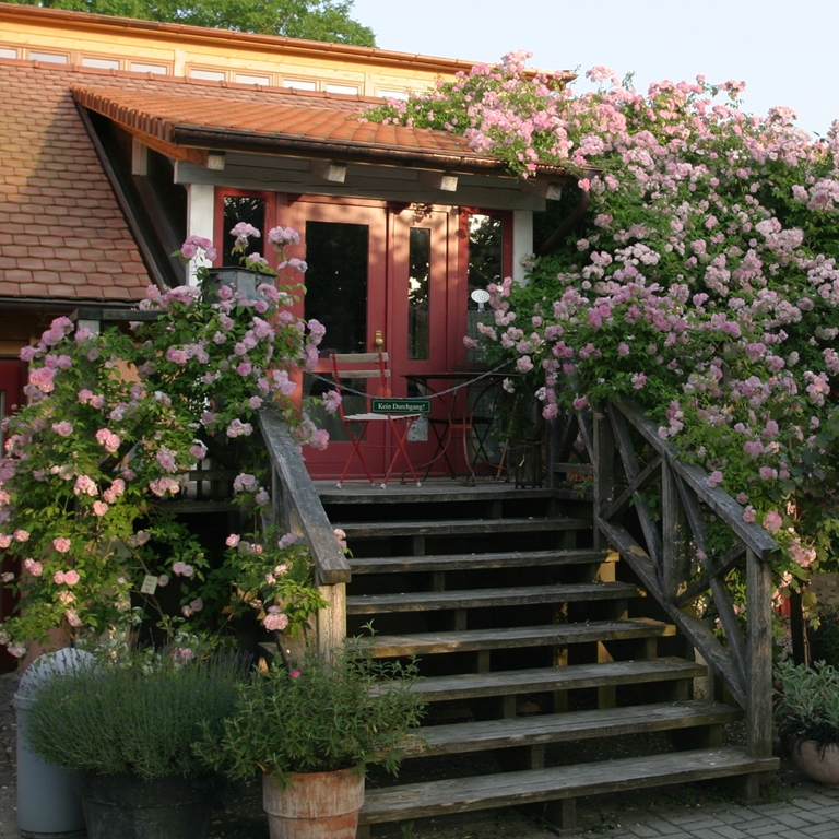 Scarman´s Himalayan Musk