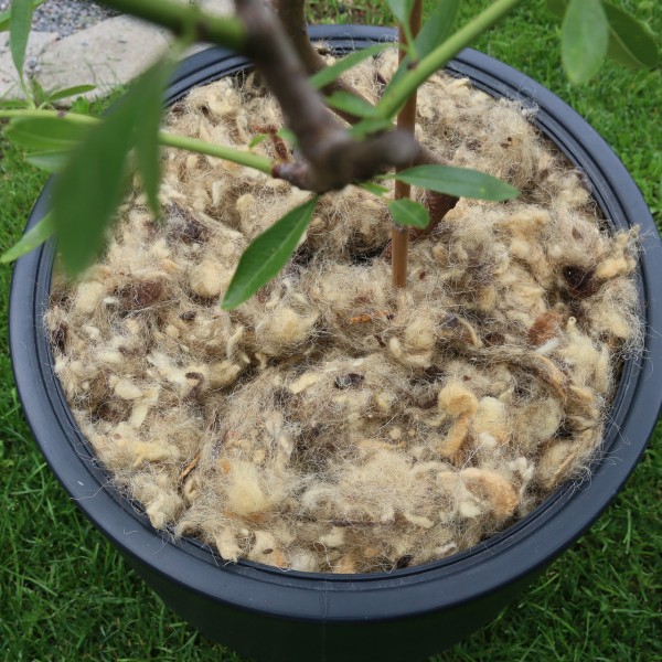 Mary´s Gartenwolle–Flocken im Beutel 100g