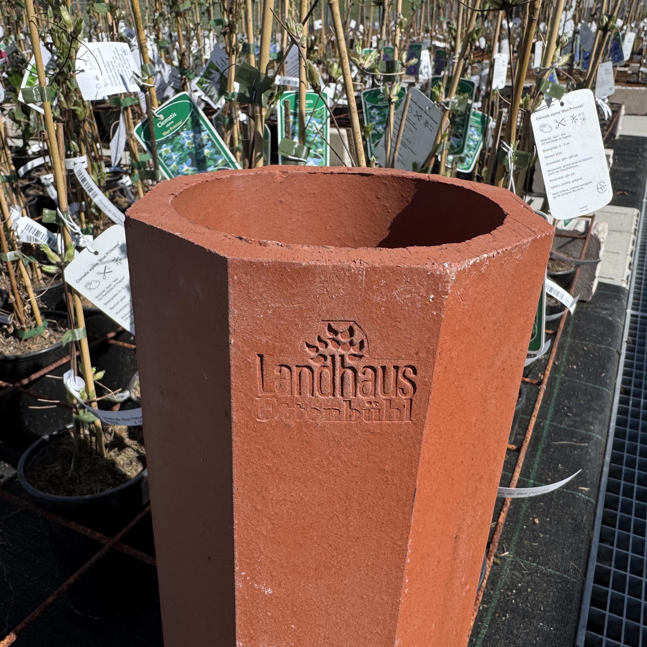 Clematis-Pflanzröhre aus gebranntem Ton