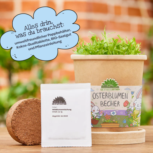 Blümchen aus dem Becher