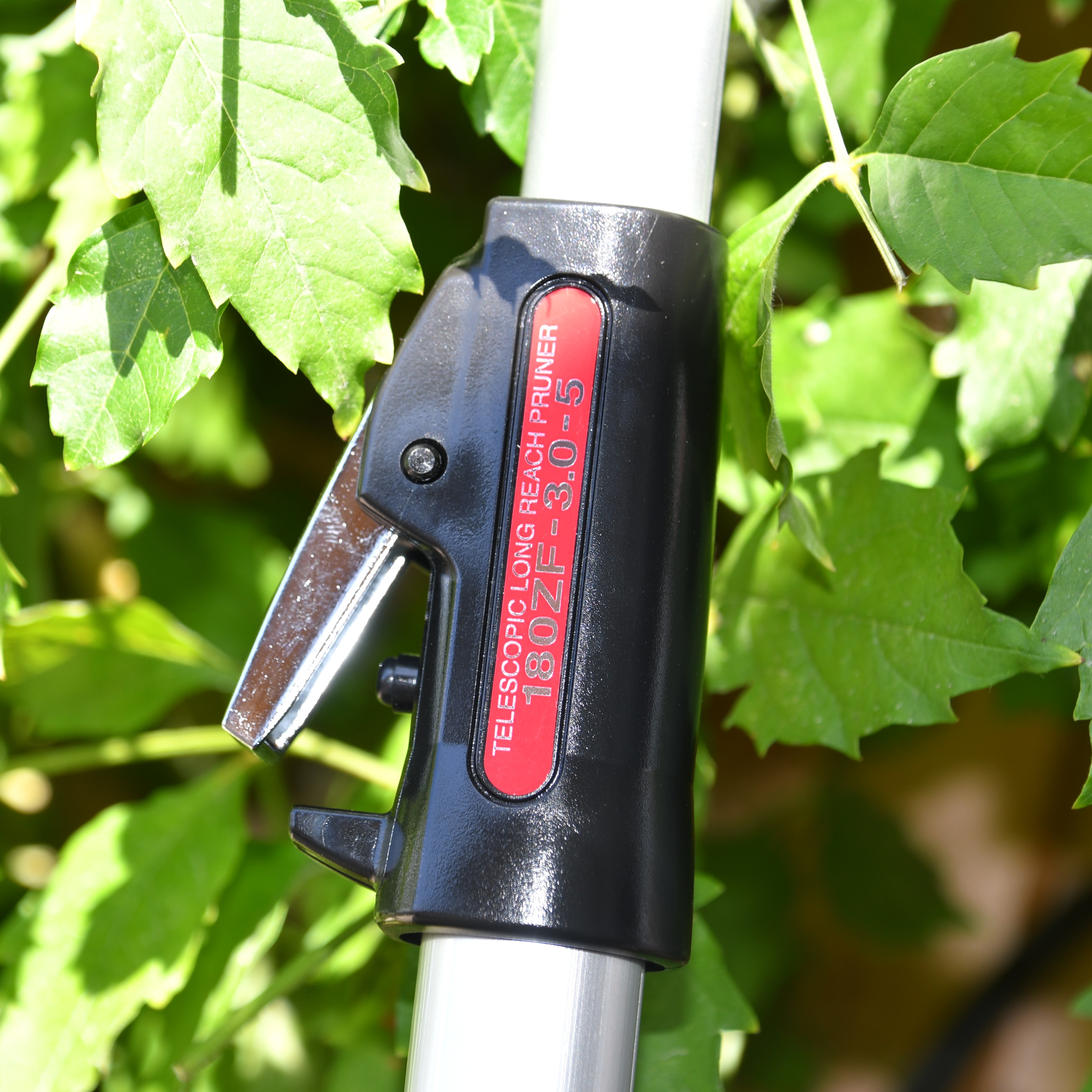 ARS Astschere mit Teleskopstiel 180ZF