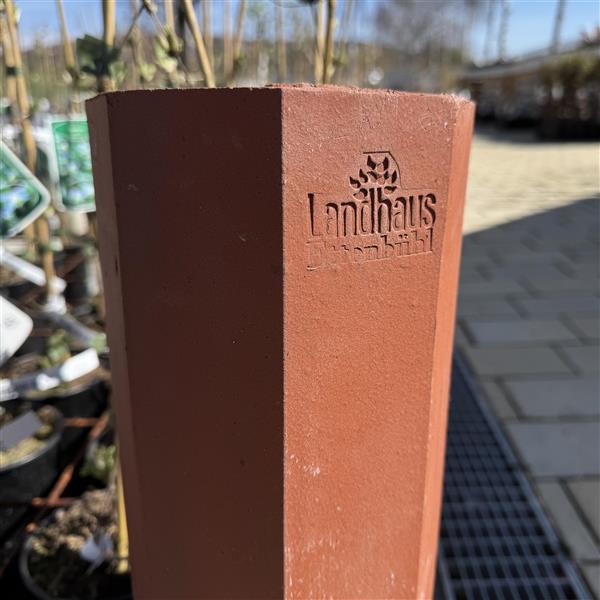 Clematis-Pflanzröhre aus gebranntem Ton