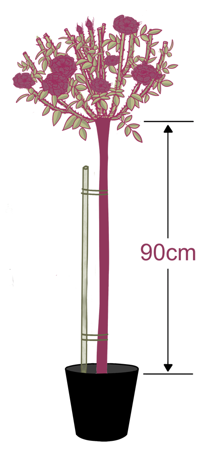 HS90CM