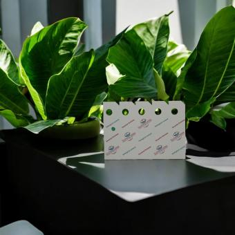 Schlupfwespen gegen Weiße Fliege 200 Stück für 10m²