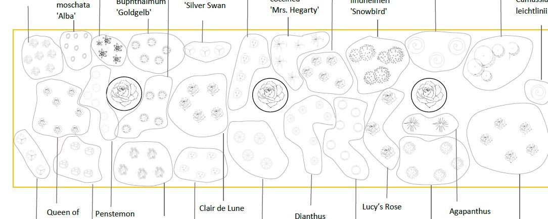 Pflanzplan Hochzeitsgarten