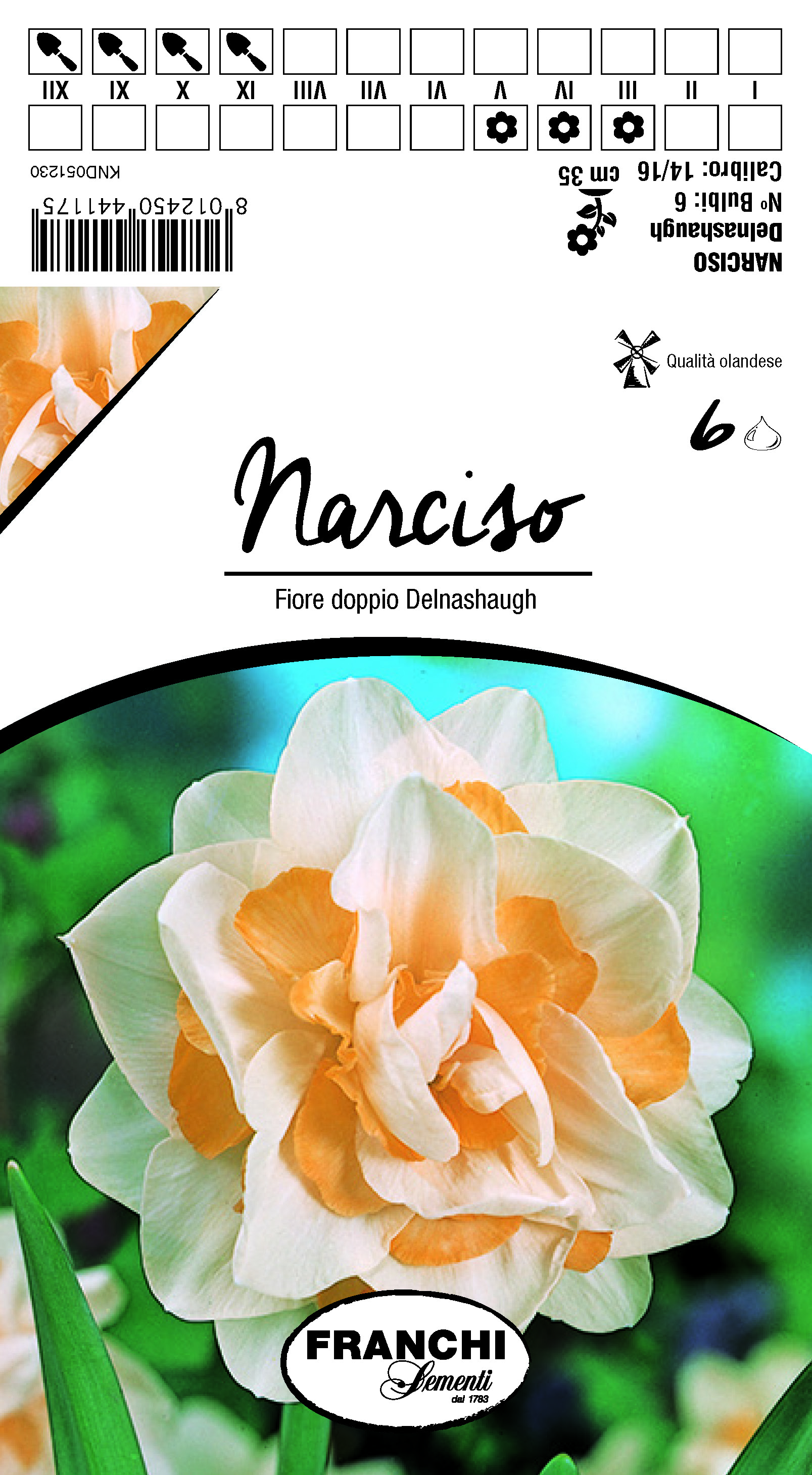Narcissus Fiore doppio 'Delnashaugh'