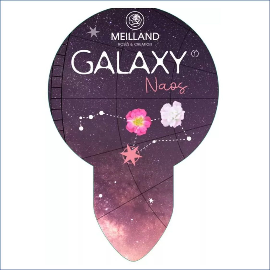 Arcturus Galaxy 2L