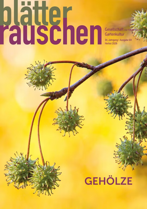 blätterrauschen 'Gehölze'