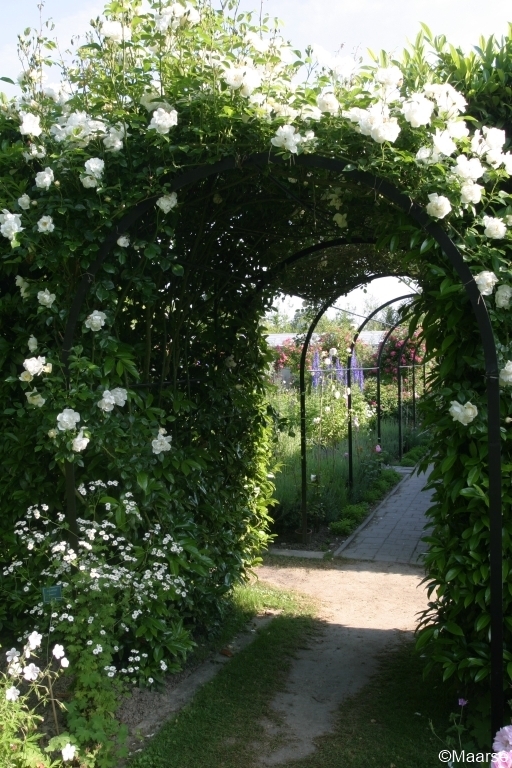City of York