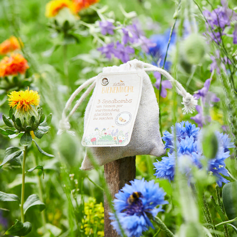 Saatguttütchen Wildblumen "Bienenwohl"