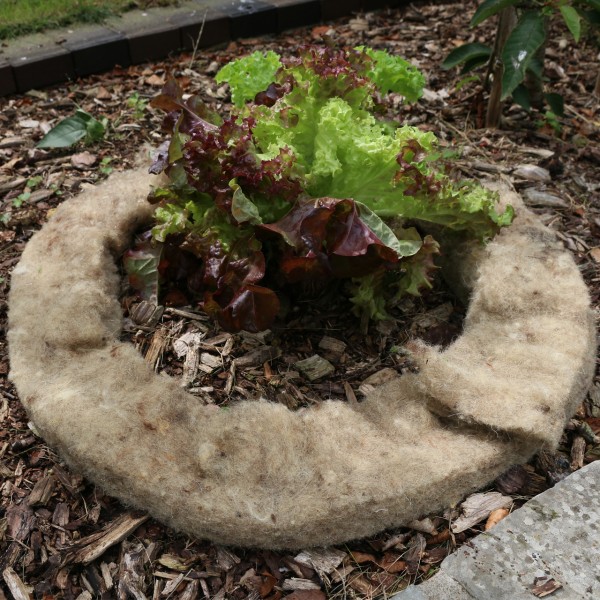 Mary´s Gartenwolle Schneckenbremse, natur