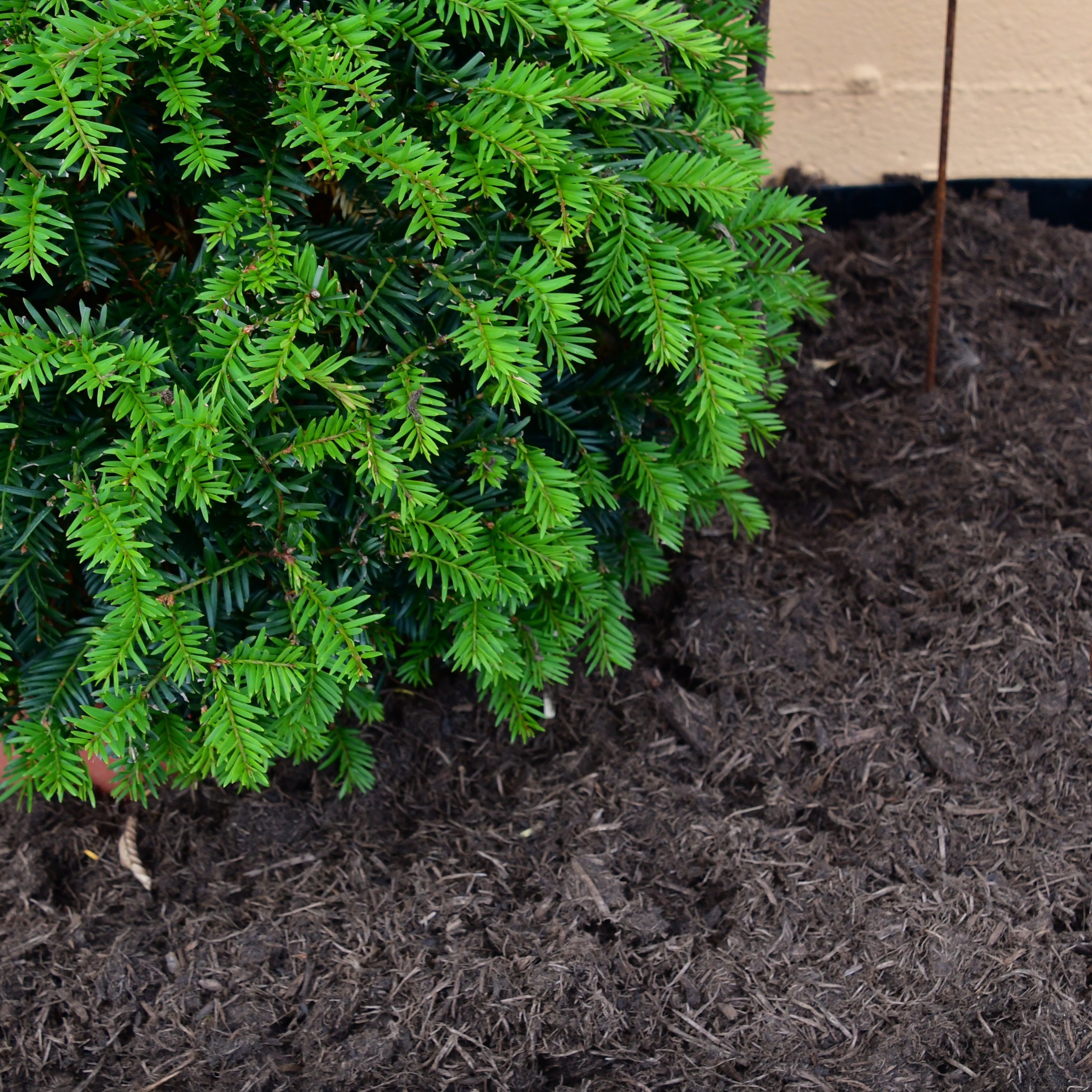 Gartenfaser 60L