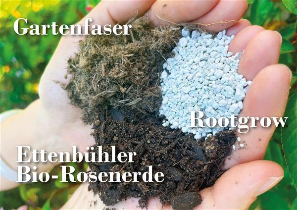 Großes Pflanzpaket
