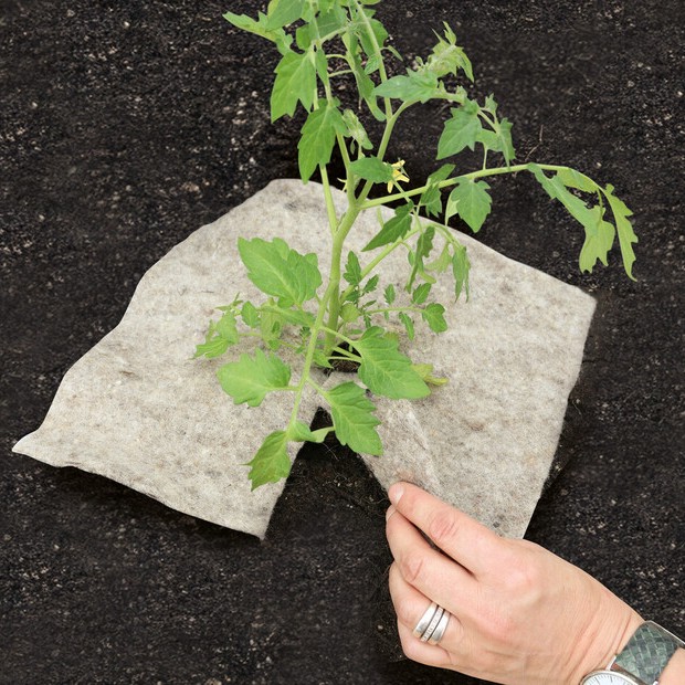 Mary´s Gartenwolle‐QUAD-Disc M, natur